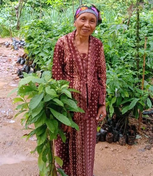 Growing More Than Just Trees: Why We Support Trees4Trees in Indonesia